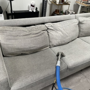Photo of New Life Carpet Cleaning