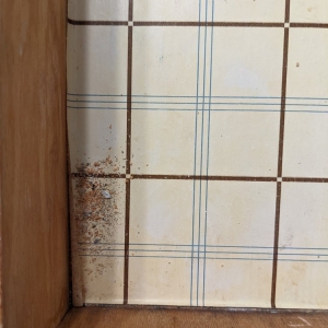 Photo of JJ's cleaning