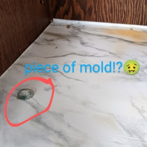 Photo of JJ's cleaning