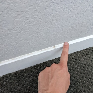 Photo of JJ's cleaning