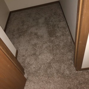 Photo of A 1 Flooring