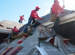 Photo of Synergy Construction Group