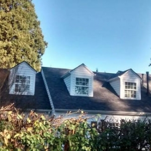 Photo of Synergy Construction Group