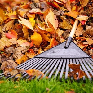New Braunfels Blades Lawn Professionals