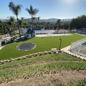 Photo of Synthetic Lawn Solutions