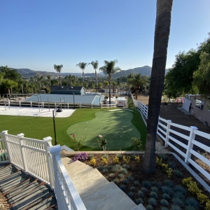 Photo of Synthetic Lawn Solutions
