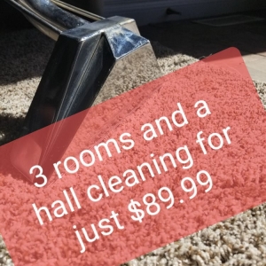 Photo of Taylormaid carpet cleaning