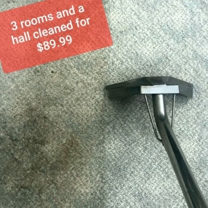 Photo of Taylormaid carpet cleaning