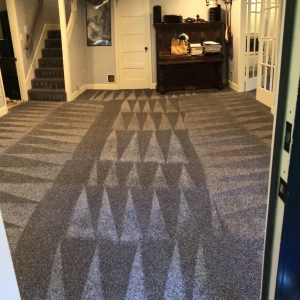 Photo of Naked Carpets