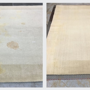 Photo of Naked Carpets