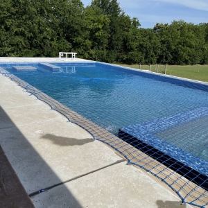Lewisville Katchakid