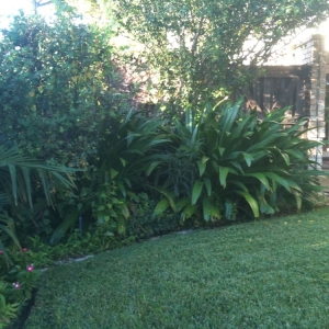 Photo of London Lawns & Landscaping