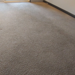 Photo of Walsh's Chem-Dry