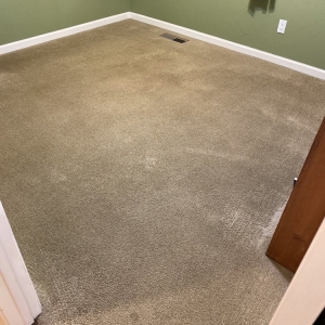Photo of Walsh's Chem-Dry