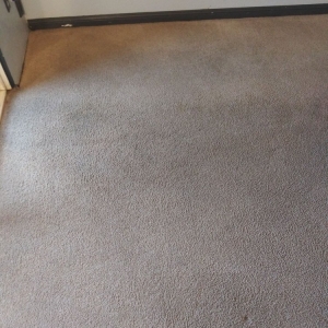 Photo of Walsh's Chem-Dry