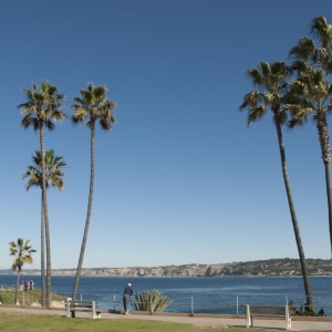 Photo of SD Rentals