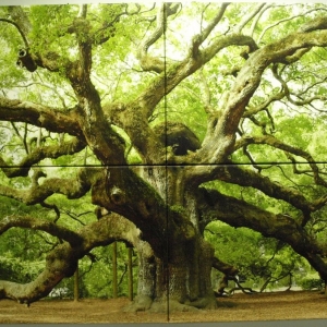 Photo of Accent Framing & Gallery