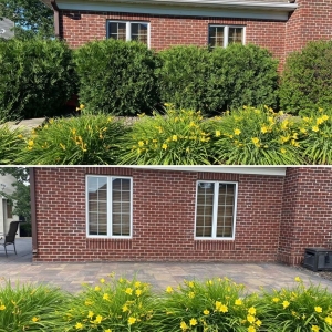 Photo of Cayering lawn services