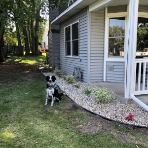 Photo of Cayering lawn services