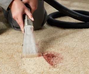 Photo of Mike's Carpet Cleaner & Restoration