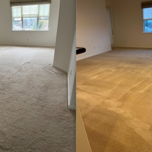 Photo of Dynamic Carpet Cleaning & Restoration