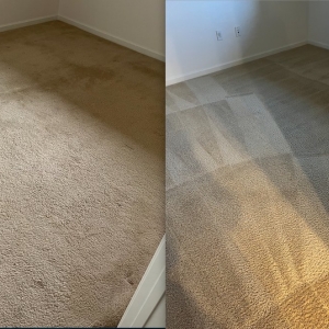 Photo of Dynamic Carpet Cleaning & Restoration