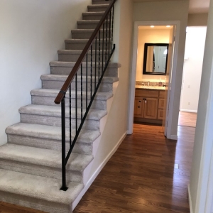 Photo of Dynamic Carpet Cleaning & Restoration