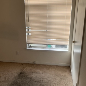 Photo of Dynamic Carpet Cleaning & Restoration