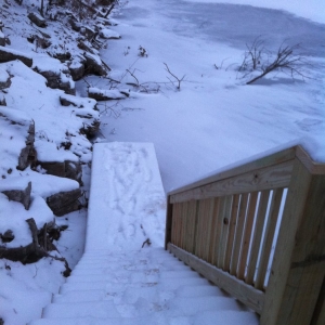 Photo of Save My Deck
