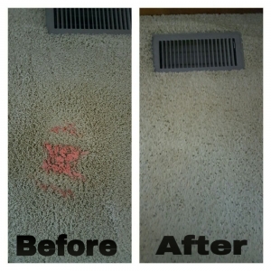 Downers Grove Ouska's Carpet Cleaning