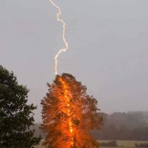 Photo of York Electric