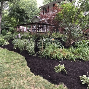 Photo of Pinpoint Services Indy