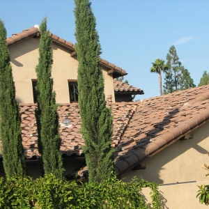 Photo of Rain Guard Roofing