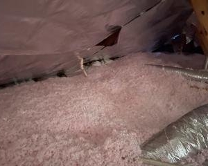 Photo of Koala Insulation of South Arlington