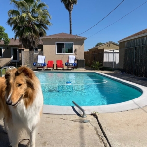 Photo of Murdock Pool Service