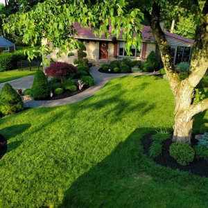 Photo of Solid Contracting