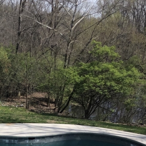 Louisville Scearce Lawncare