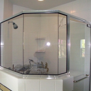 Photo of Mirror Shower & Glass
