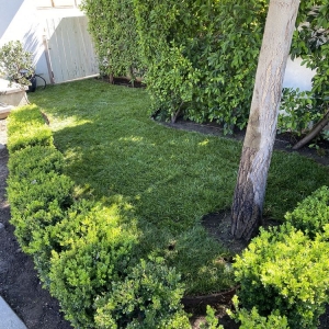 Photo of Environmental landscape