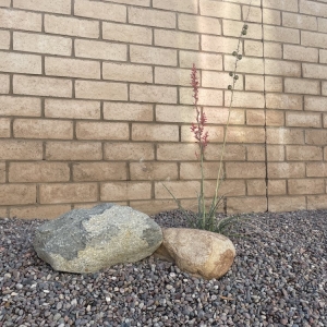 Photo of Environmental landscape