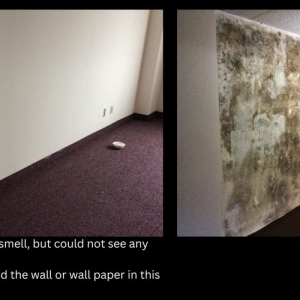 Photo of Maxx Restoration