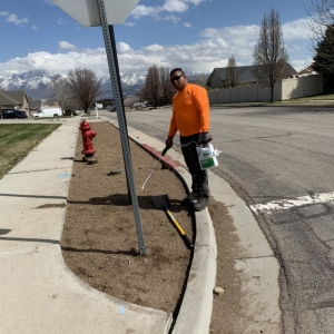 Photo of Dependable Tree service