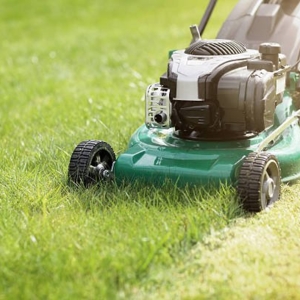 Photo of Quality Lawn Care