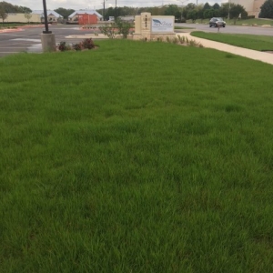 Photo of 4 Seasons Landscape