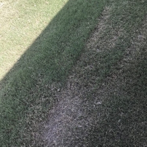 Photo of 4 Seasons Landscape