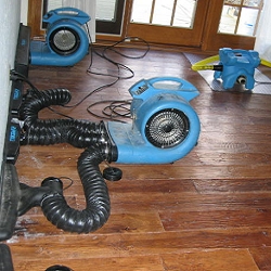 Photo of Cobalt Restoration