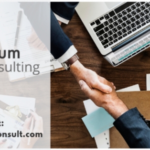 Photo of Ipsum Consulting, LLC