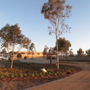 Photo of Stephen Billings Landscape Architecture