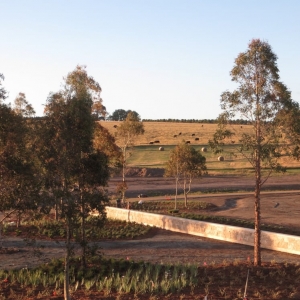 Photo of Stephen Billings Landscape Architecture