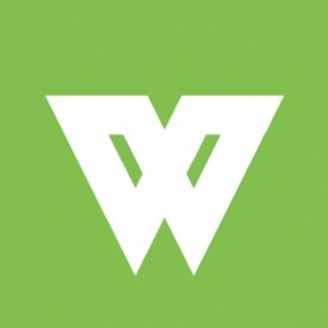 Photo of WEB & SEO